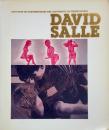 DAVID SALLE: Institute of Contemporary Art, University of Pennsylvania