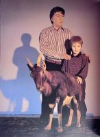 Paul McCarthy contemporary artists series