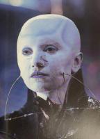 The Hellraiser Chronicles 