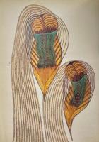 Raw Vision 14 Spring/Printemps 1996 International Journal of Intuitive and Visionary Art