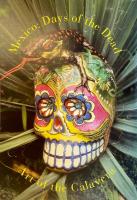 Raw Vision 12 Summer 1995 International Journal of Intuitive and Visionary Art