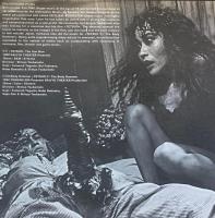 鉄男 鉄男Ⅱ サウンドトラック LP レコード / 鉄男 パンフレット付き　2点セット