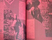 Fool's Mate フールズ・メイト No.16 1981