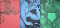 日本のゲイ・エロティック・アート Gay Erotic Art in Japan  全3冊セット