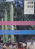 肉 南米美女ヌード写真集