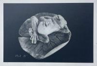 鏡の中のKaoRi 写狂老人A 2015.5.25 75齢 Birthday