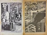 Subvert Comics, No2 Trashman