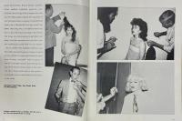 Andy Warhol AMERICA