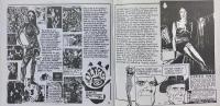 N.B.T The Next Big Thing Issue #24 - Screaming Dizbusters 7inch vinyl
