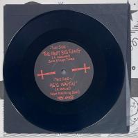 N.B.T The Next Big Thing Issue #24 - Screaming Dizbusters 7inch vinyl