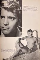 A MODEST HISTORY PIN-UP 