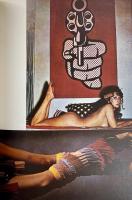 A MODEST HISTORY PIN-UP 
