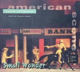 Small Wonder Worlds in a Box