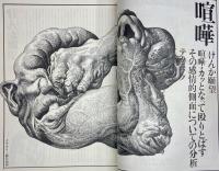 NOW 男の雑誌 ナウ NO.15 春の号　