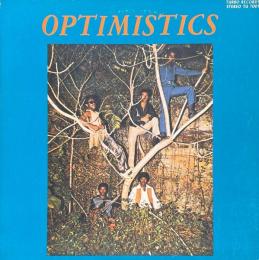THE OPTIMISTICS あまいきむち　LPレコード