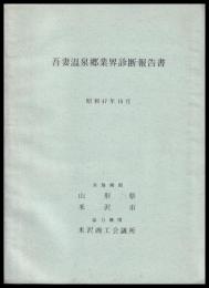 吾妻温泉郷業界診断報告書