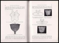 英）PRACTICAL ILLUMINATION