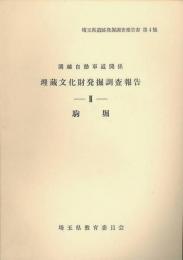 関越自動車道関係埋蔵文化財発掘調査報告　2　駒堀　埼玉県遺跡発掘調査報告書　第4集