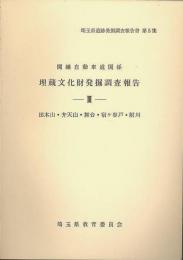 関越自動車道関係埋蔵文化財発掘調査報告　3 (田木山・弁天山・舞台・宿ケ谷戸・附川)