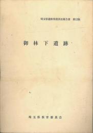 御林下遺跡　埼玉県遺跡発掘調査報告書　第13集