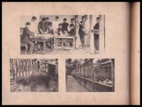 鳥取縣立農業學校創立第三十周年記念帖