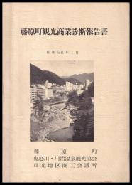藤原町観光商業診断報告書