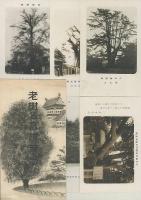 老樹名木誌　大阪市之巻