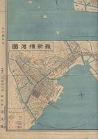 改正番地入東京市全圖