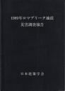 1989年ロマプリータ地震災害調査報告