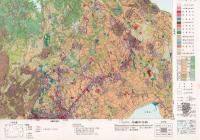 土地利用図　沖縄　二万五千分一（沖縄市北部・沖縄市南部・与那原・知念・高志保・大謝名・那覇・糸満・喜屋武岬）　彩色　９枚