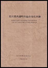 石川県内浦町行延の珪化木群