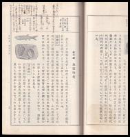 中學校鑛物學教科書