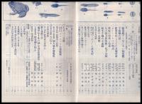 科學知識　第13巻3號　昭和8年3月號