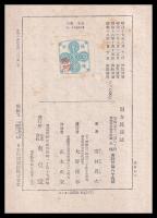 南方民族誌