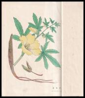 手漉和紙考