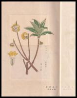三椏及三椏紙考