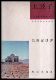 土胚子（どぴーず） アフガニスタンの一年