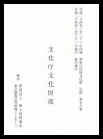 盆行事Ⅵ　高知県　無形民俗文化財記録58