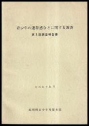 青少年の連帯感などに関する調査　第2回調査報告書