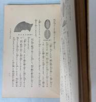 小学五年生の算術の歴史物語