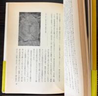 山梨県の道祖神　甲州の石仏