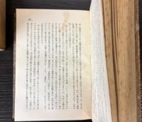 新社会主義の批判