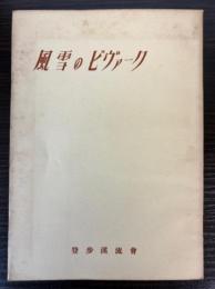 風雪のビヴァーク