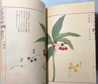 本草図譜　1～5巻　山草類（揃い）