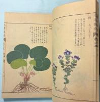 本草図譜　1～5巻　山草類（揃い）
