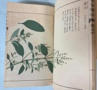 本草図譜　6～9巻　芳草類（揃い）
