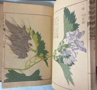 本草図譜  18～21巻　毒草類（揃い）