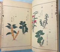 本草図譜  32～35巻　石草類（揃い）