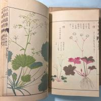 本草図譜  32～35巻　石草類（揃い）