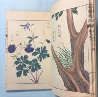 本草図譜　36巻　雑草部